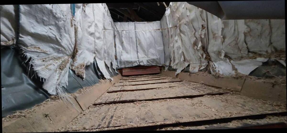 Ladewagen Böhmwerk LS40 3