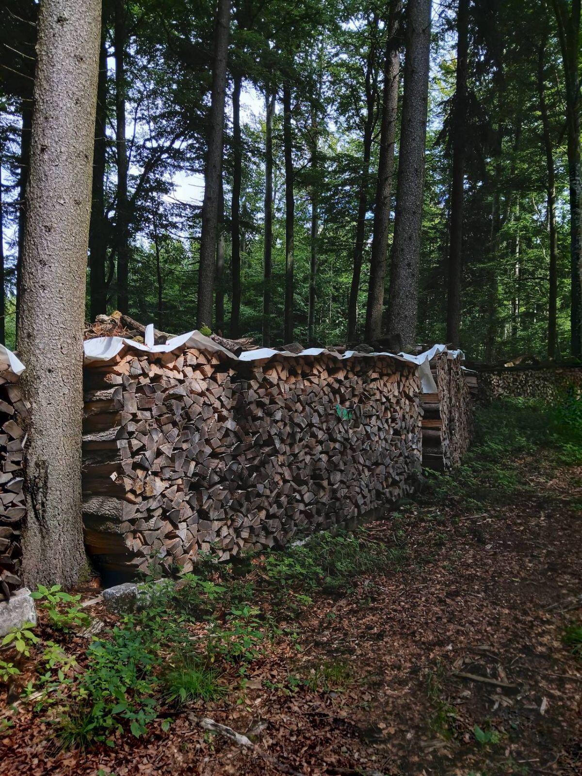 Brennholz, Scheitholz 1