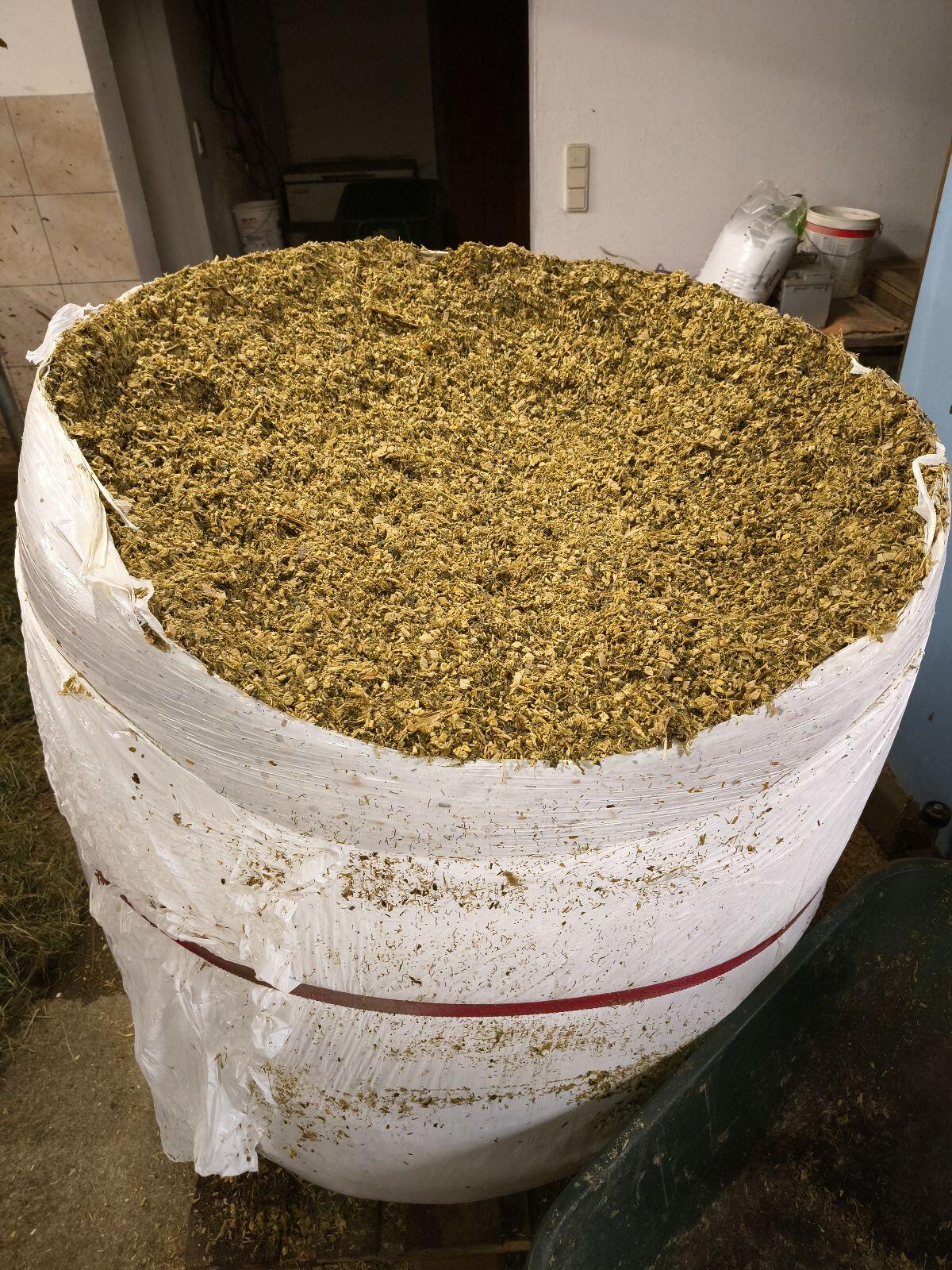 Bio Silomaisballen 1