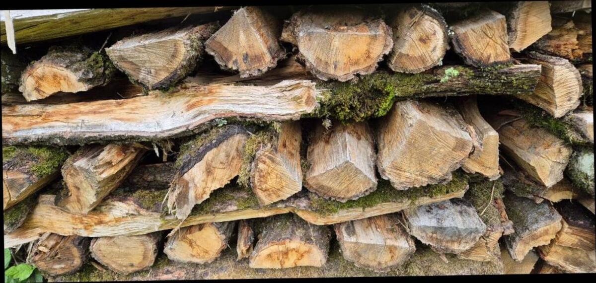 Brennholz/Hartholz 2