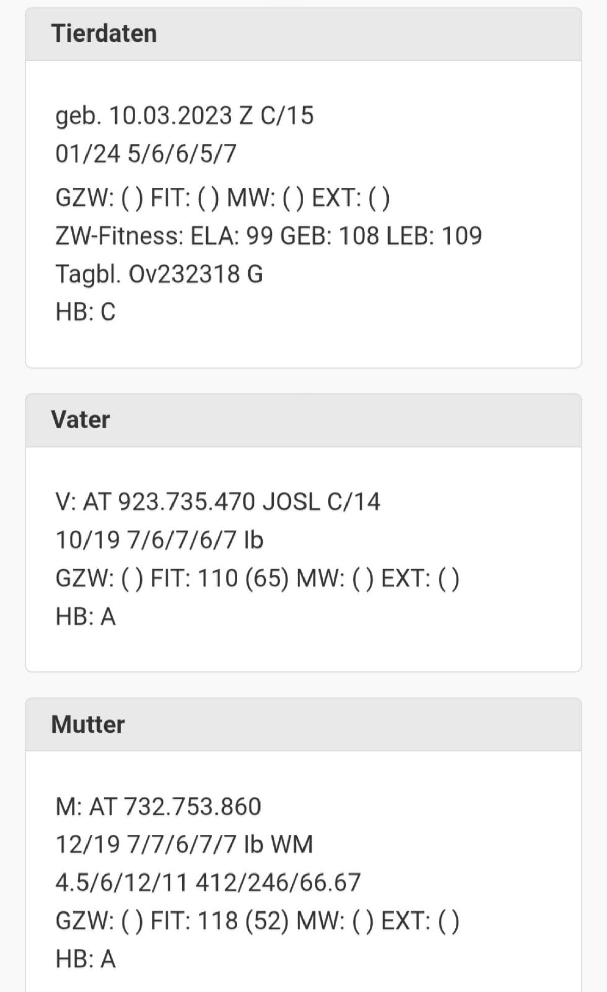 HB Steinschafwidder 2