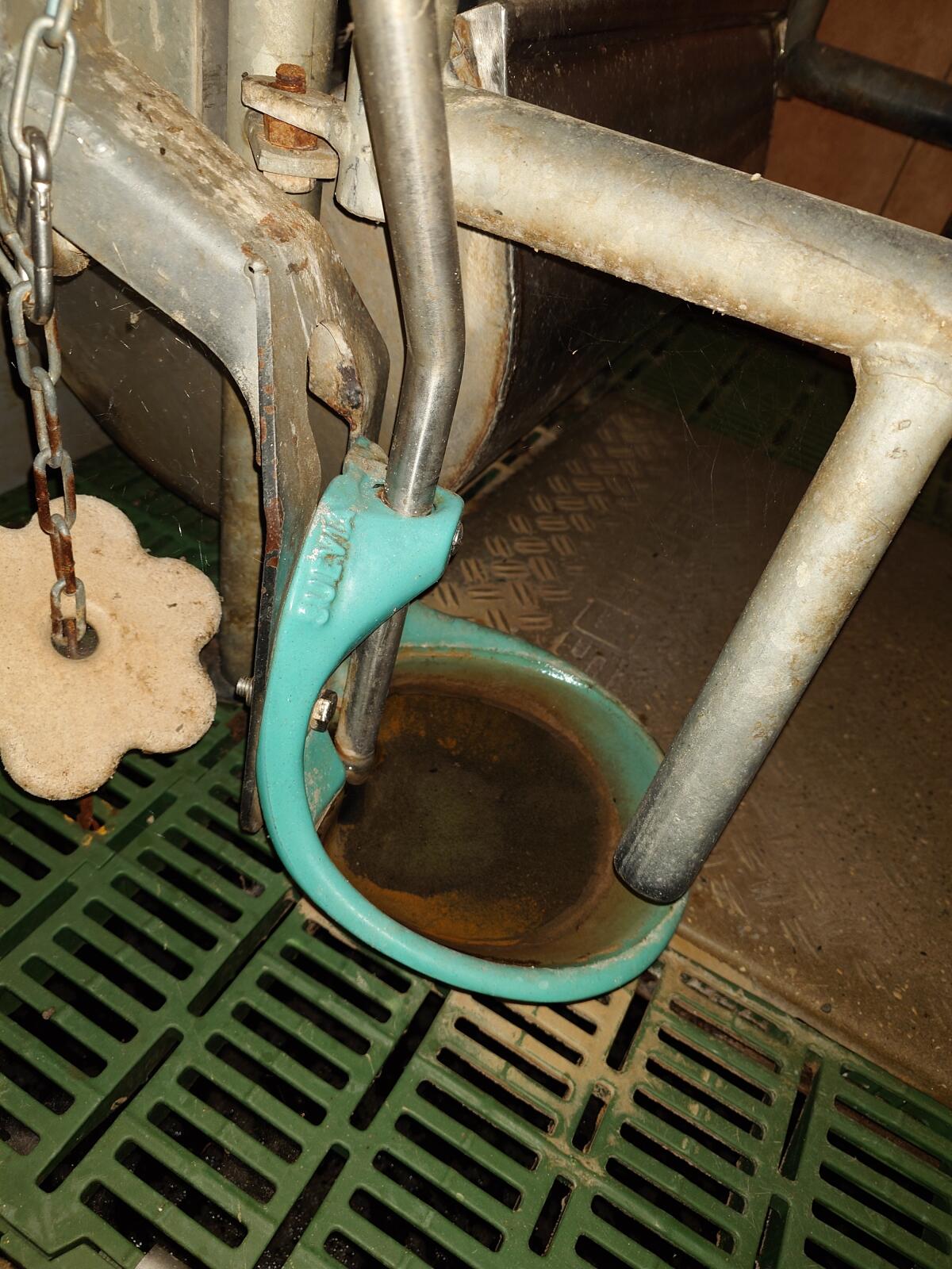 Verkaufe Abferkelbucht 3