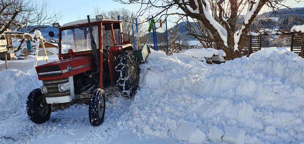 Zugmaschine Massey Ferguson W135 2