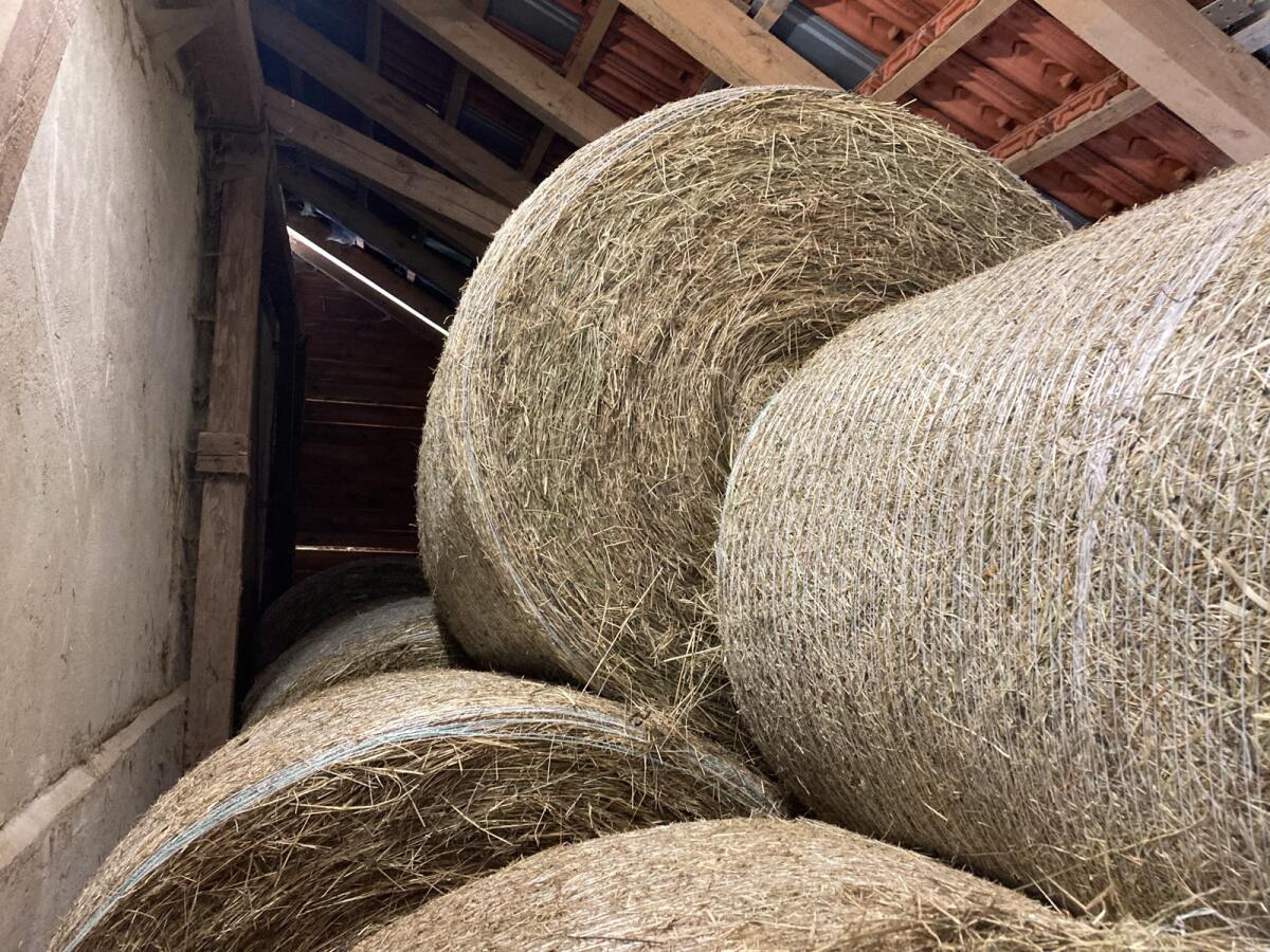 Heu Rundballen erster Schnitt 2025 2
