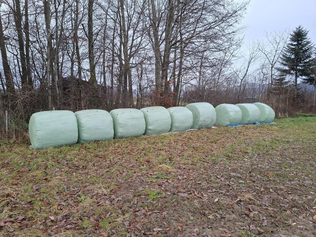 Siloballen, Heulageballen 2