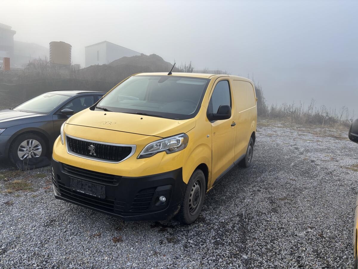 Peugeot Expert 4x4 Dangel 1