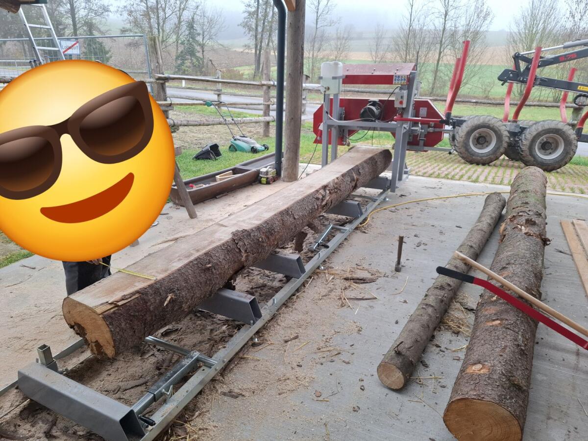 Blochbandsäge Bandsäge Blockhaus Blockbandsäge 2