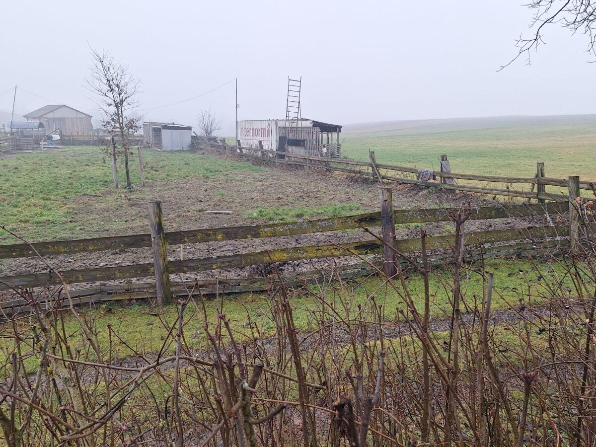 Koppel Weide Auslauf 1