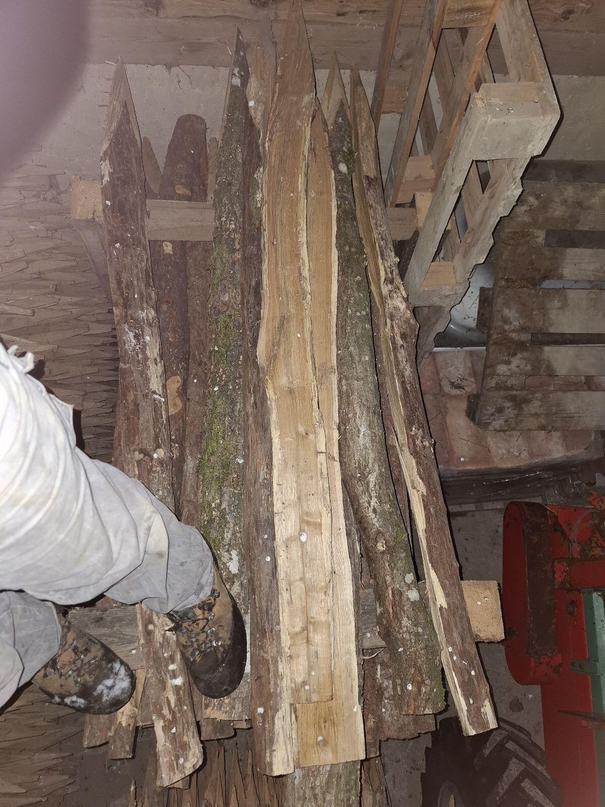 Eichenstecken, Weidepfahl 2