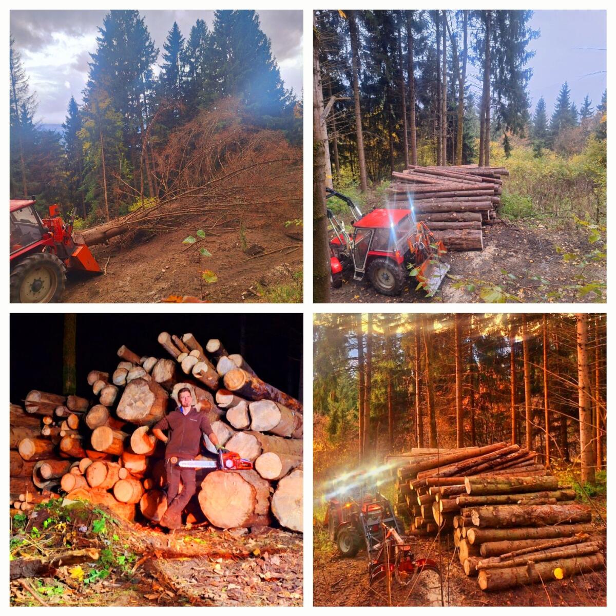 Forstunternehmen Schlögl 1