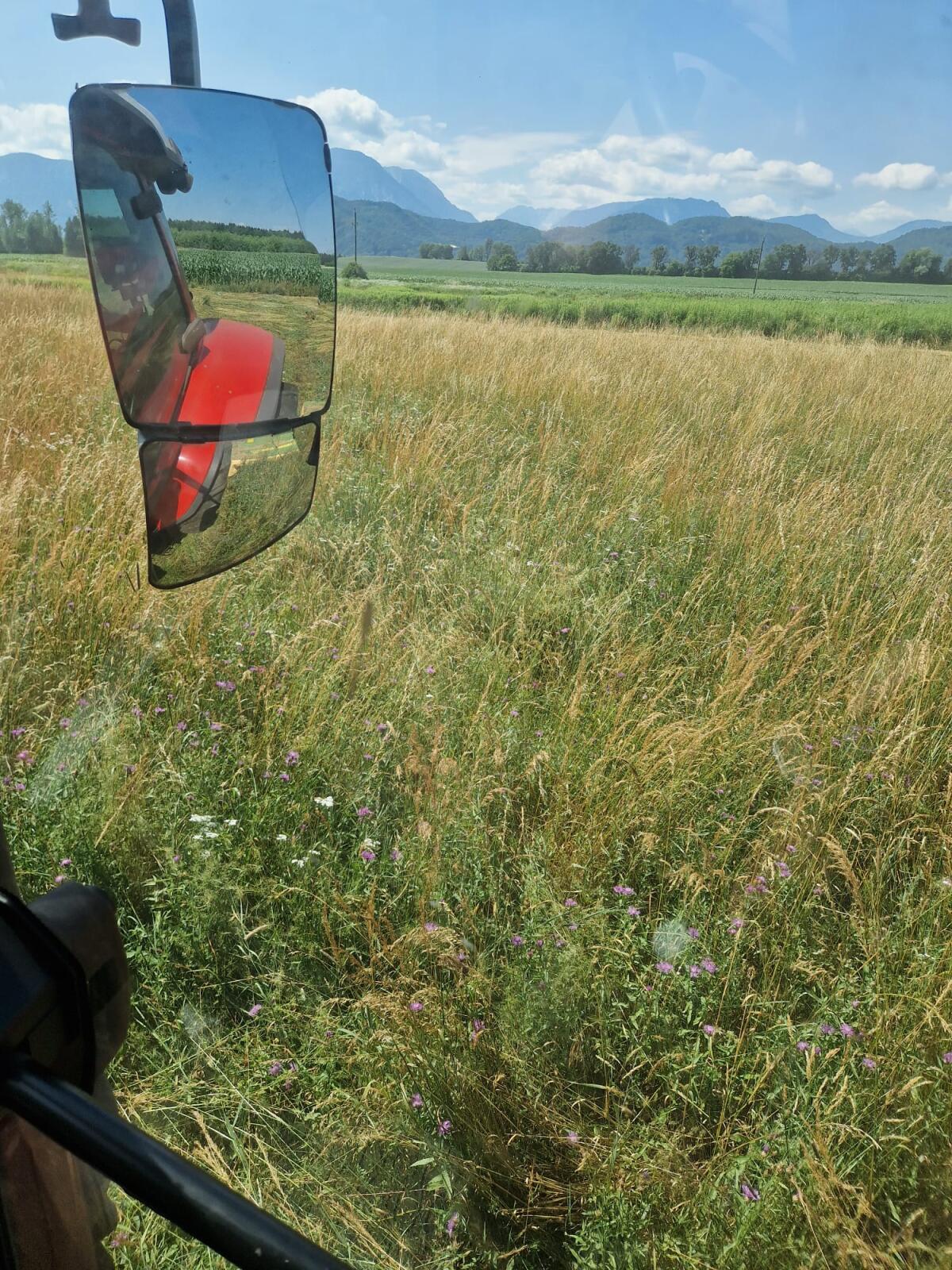 Heu in Kleinballen 2