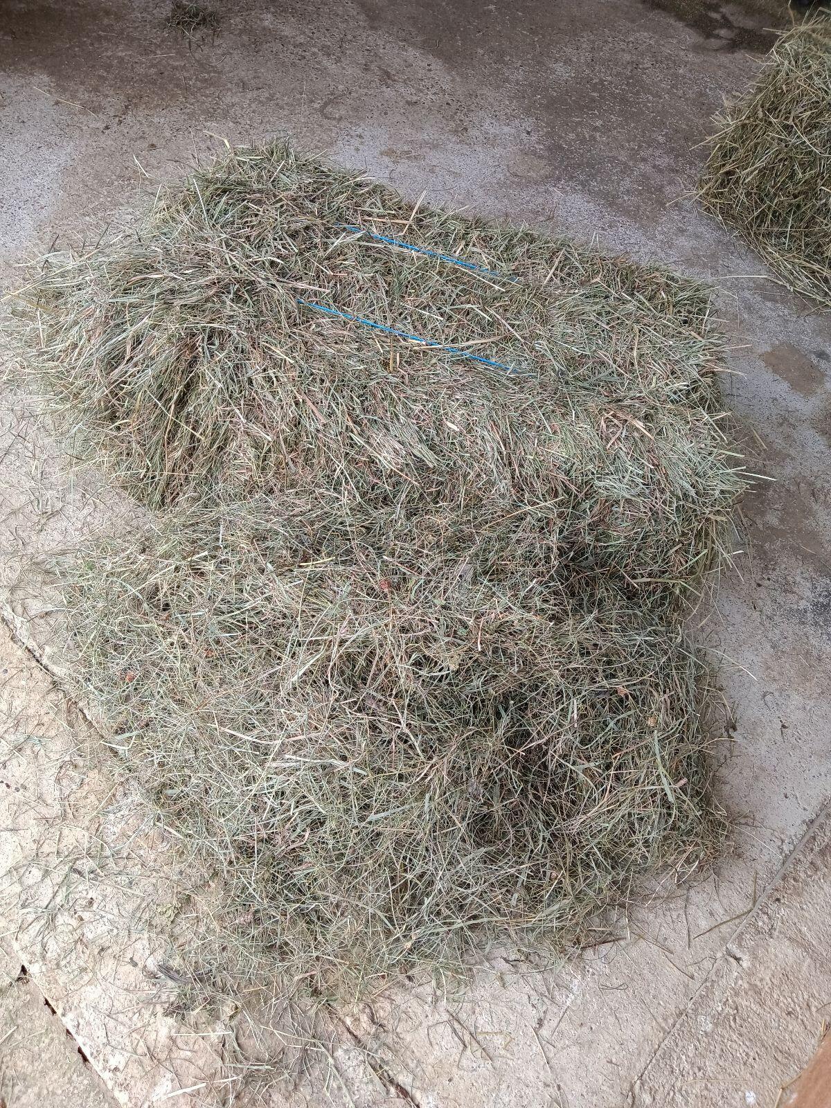 Heurundballen/Quaderballen 2