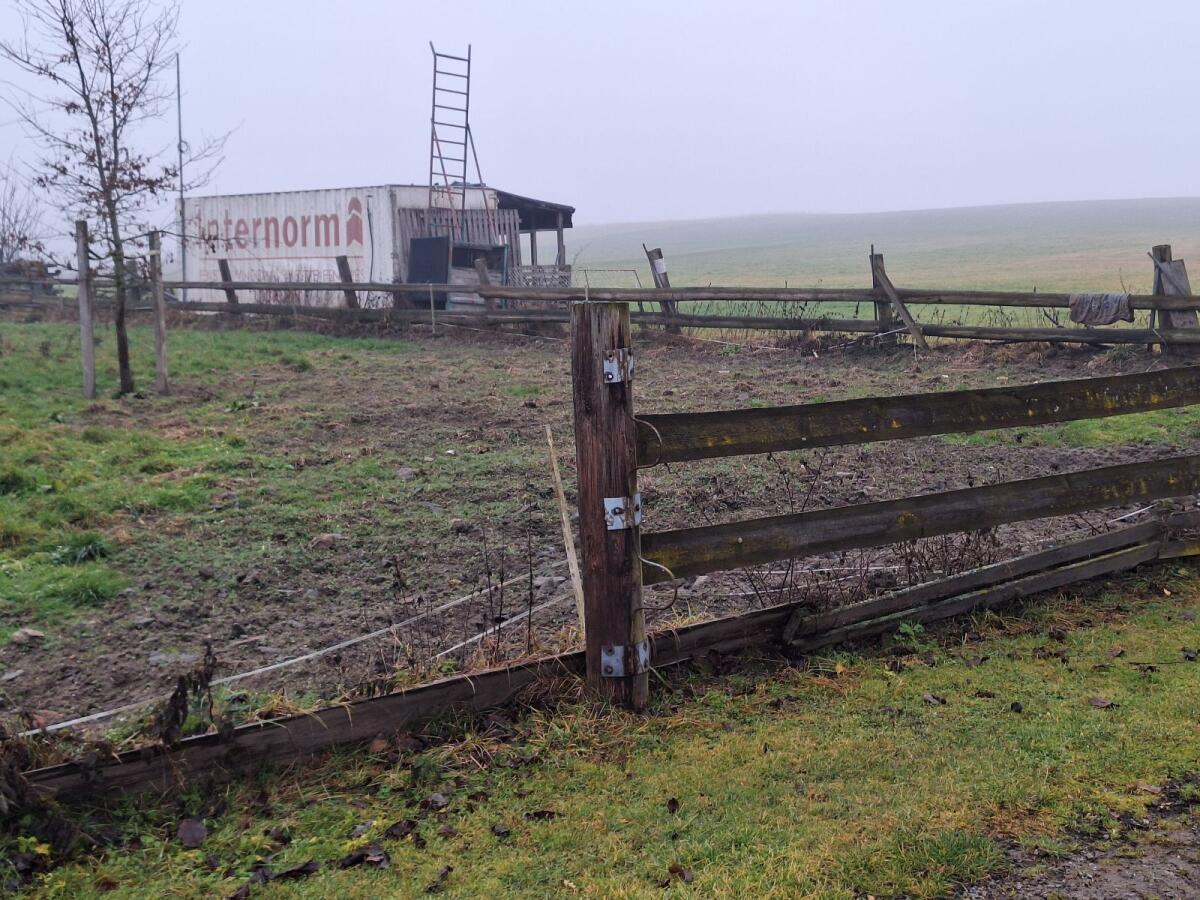 Koppel Weide Auslauf 2