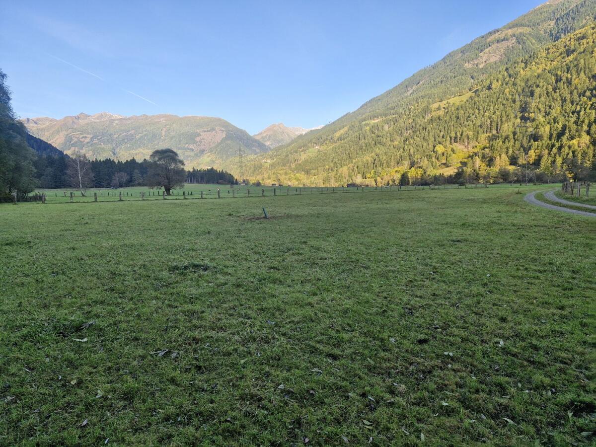 Landwirtschaftliche Nutzfläche 2