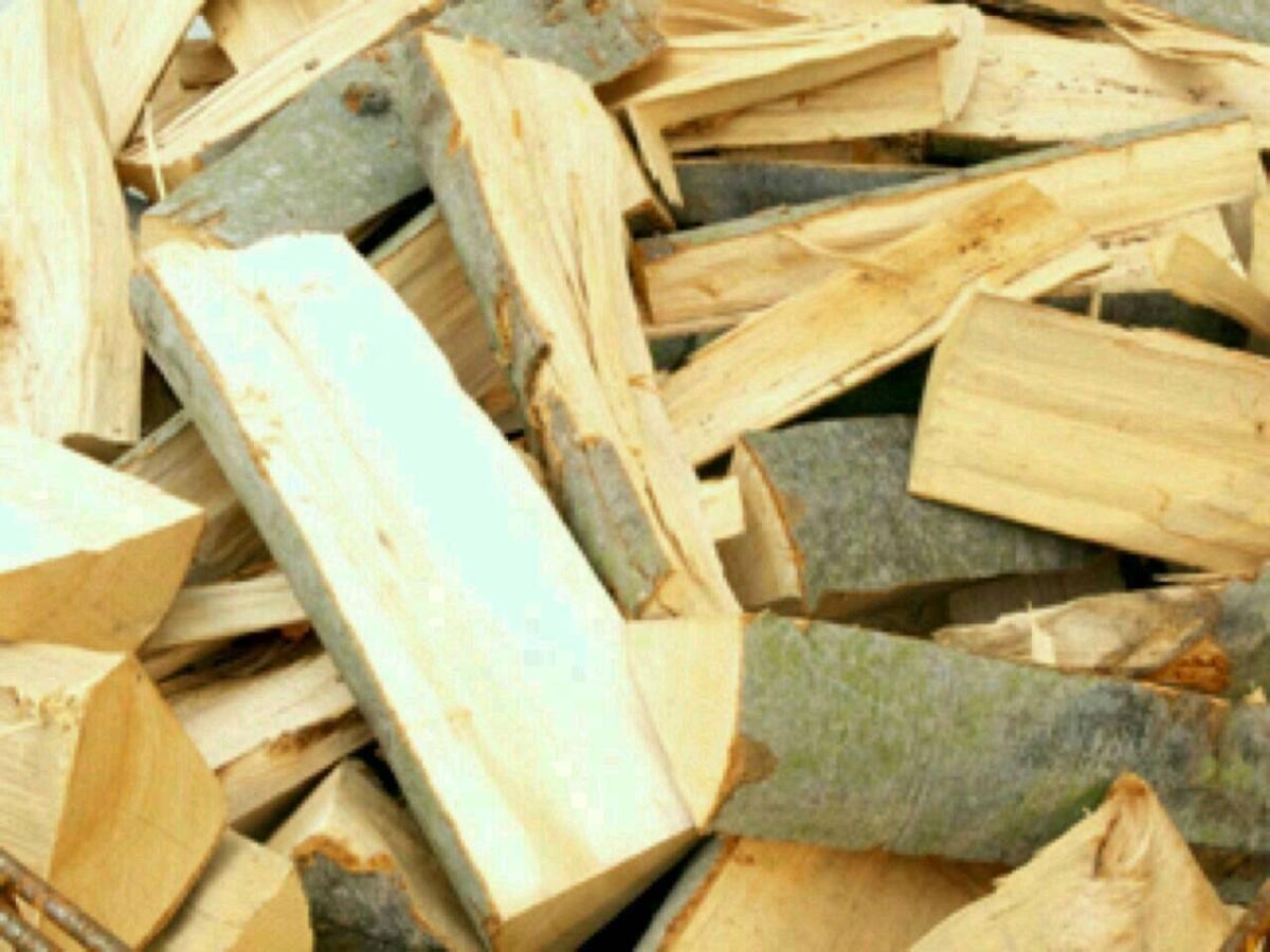 Brennholz, hart, 2-jährig trocken,nicht 1-jährig halbtrocken 1