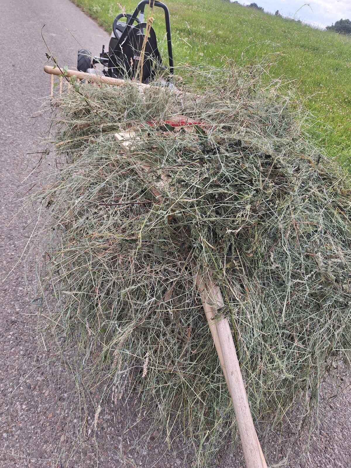 Verkaufe Heu Ersterschnitt 2025 3