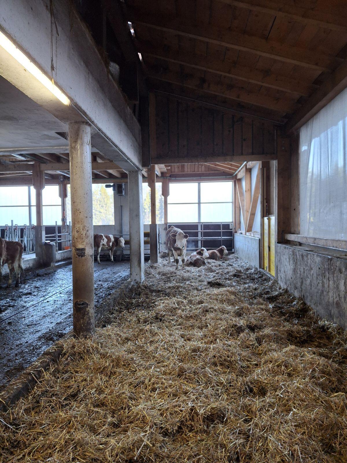 Freie Aufzuchtplätze (BIO) 2