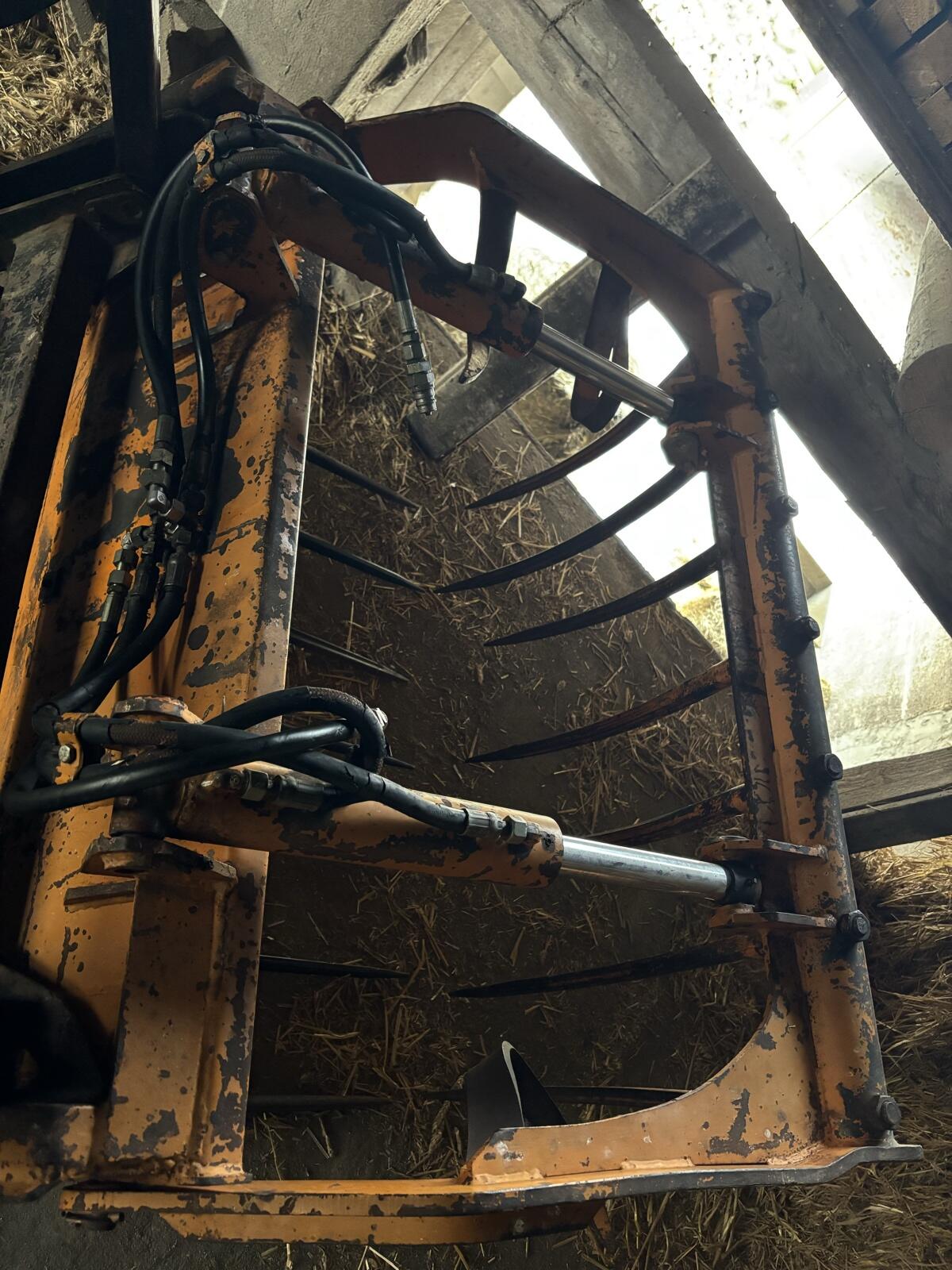 Hauer - Krokozange 1