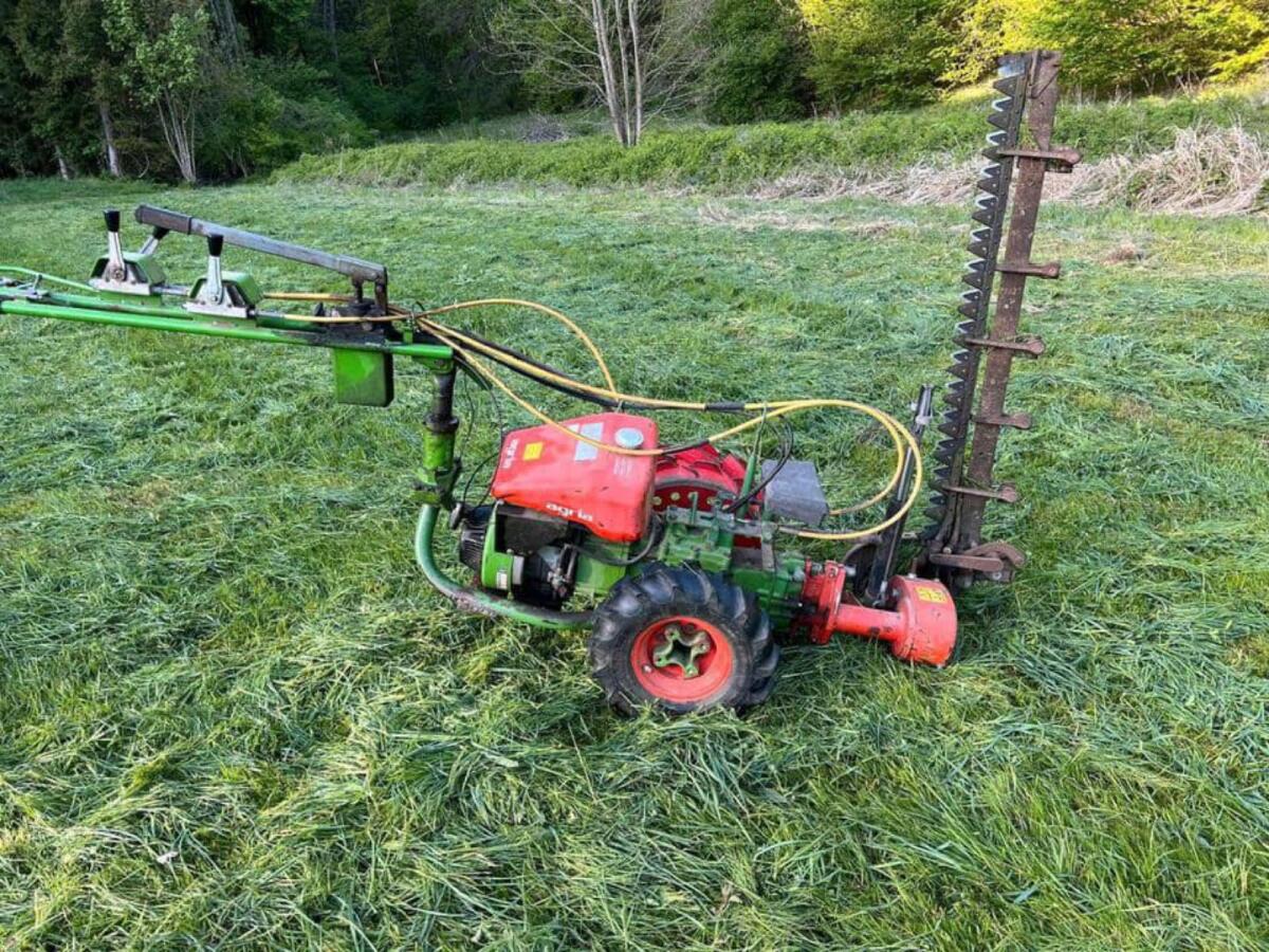 Agria 3400 5500 Balkenmäher Grabenmäher 1