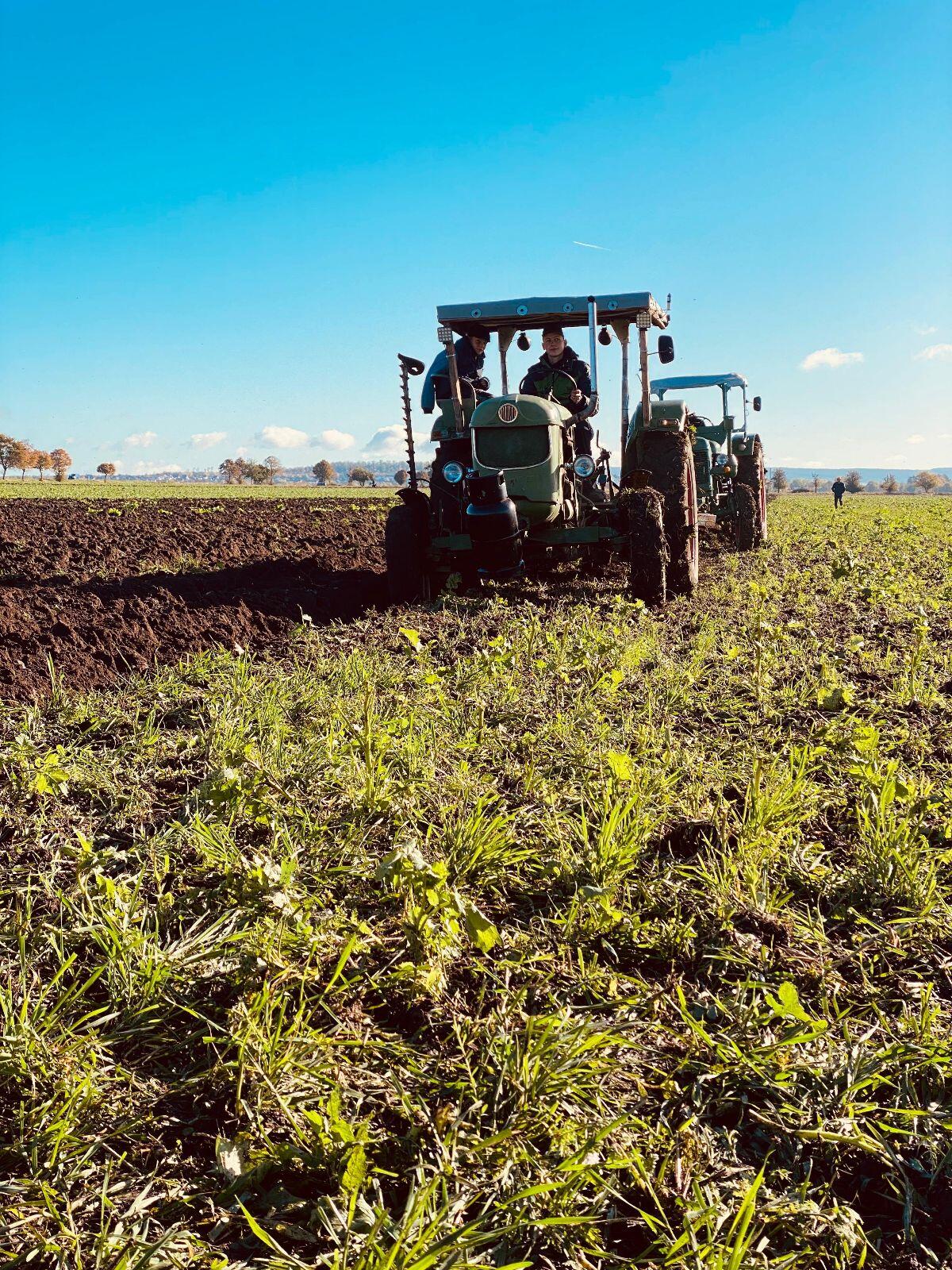 Deutz D40S Traktor 2