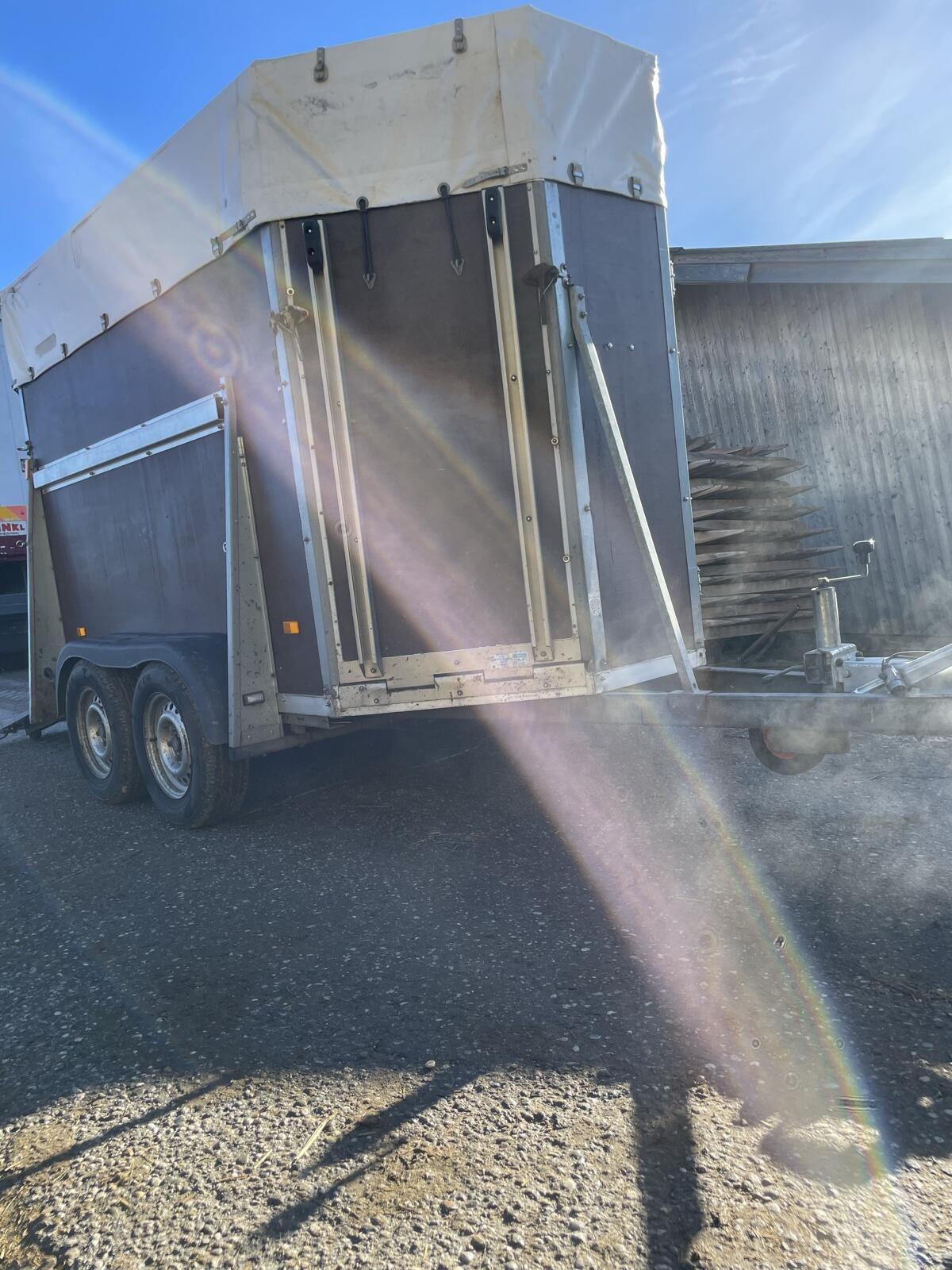 Viehanhänger Wörmann 2