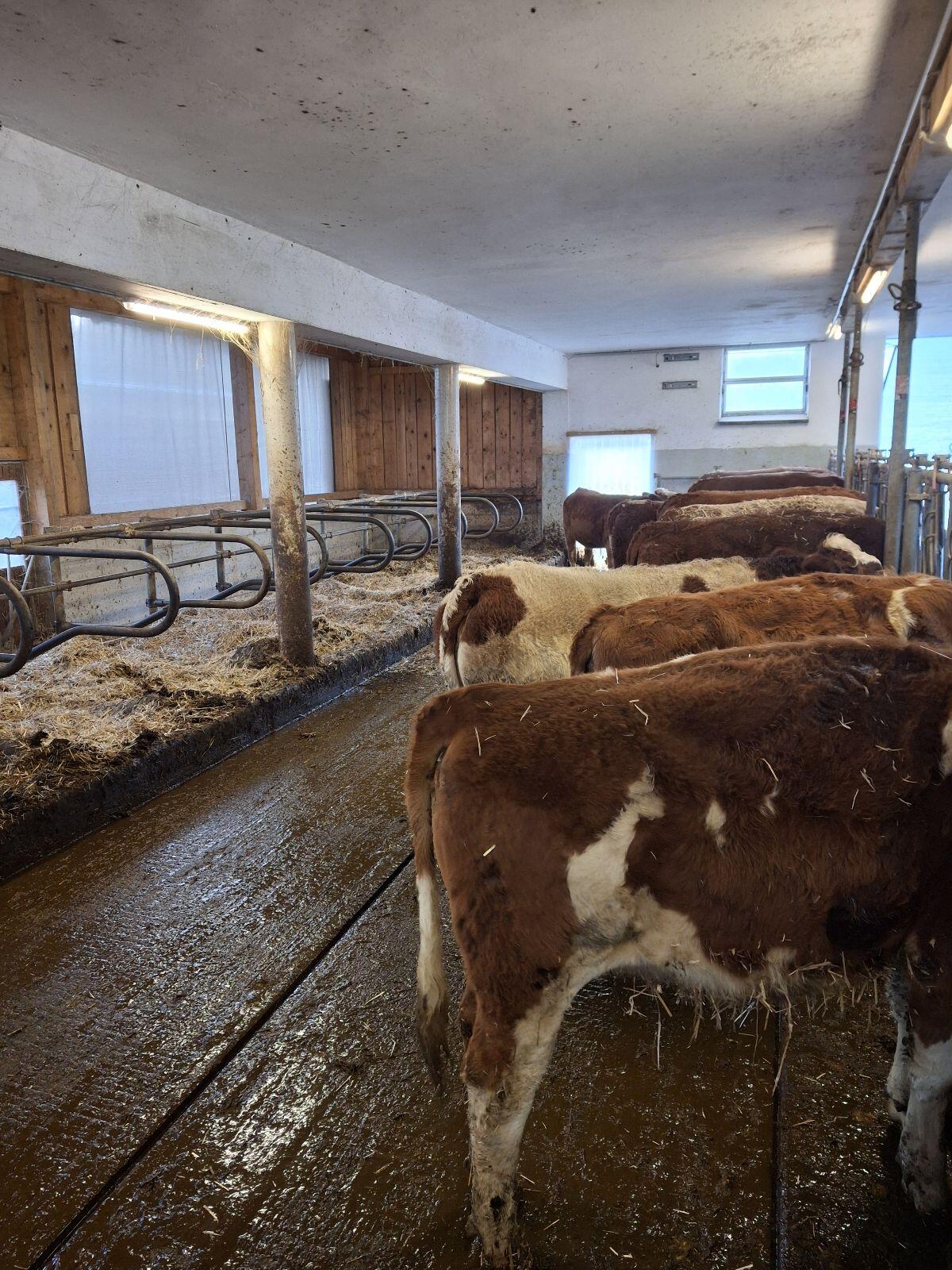 Freie Aufzuchtplätze (BIO) 1