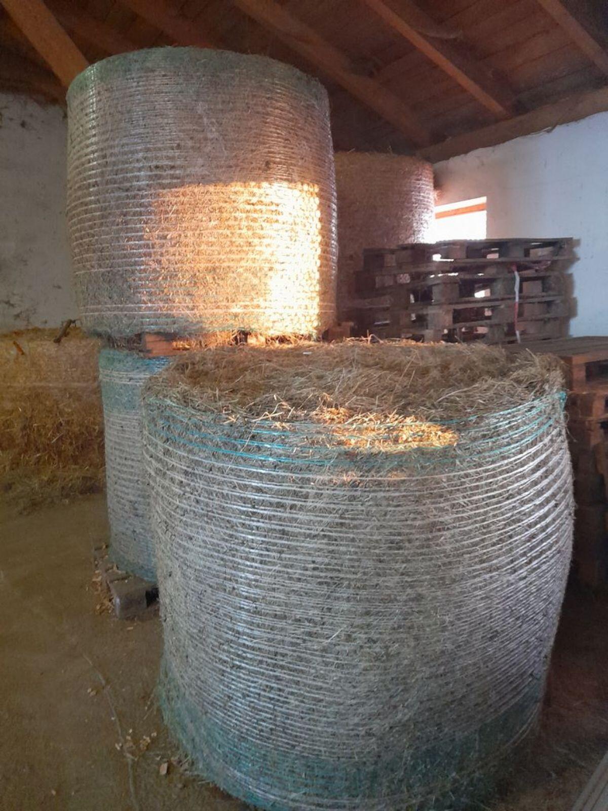 Heurundballen 2. Schnitt 1