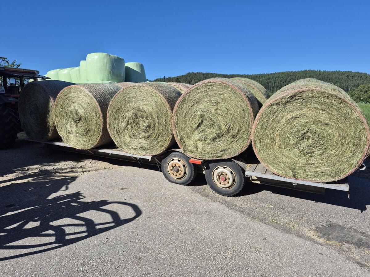 Heu Rundballen 1