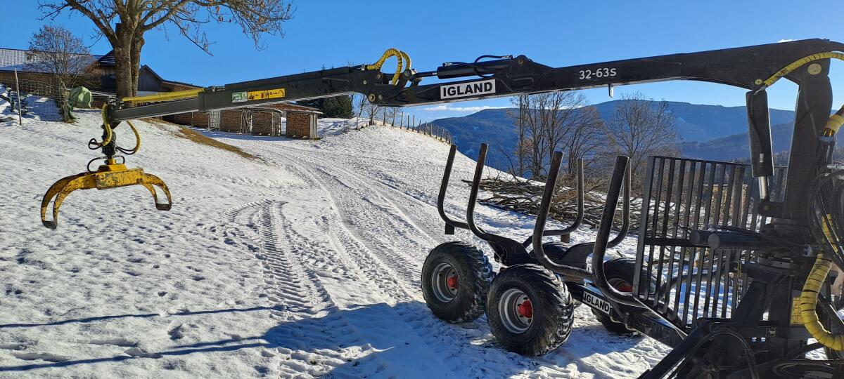 Igland 380 Forstanhänger 3