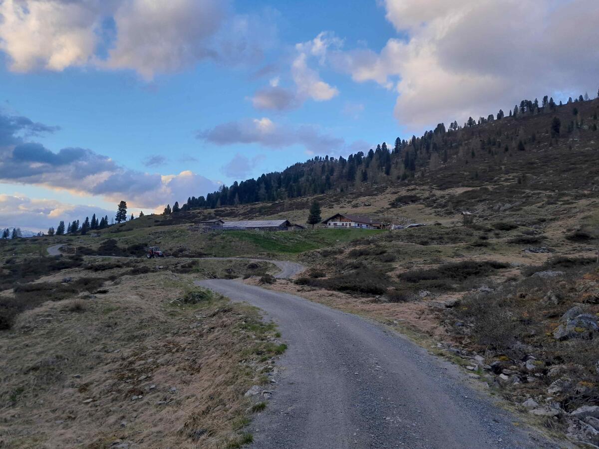 Almpächter gesucht 1