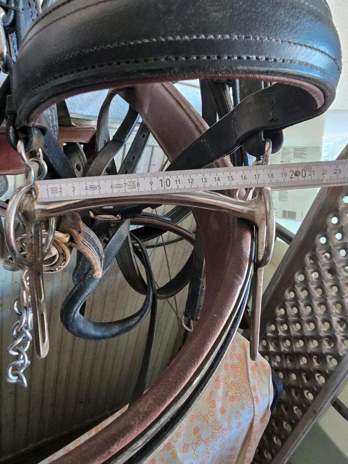 Zweispännergeschirr 3