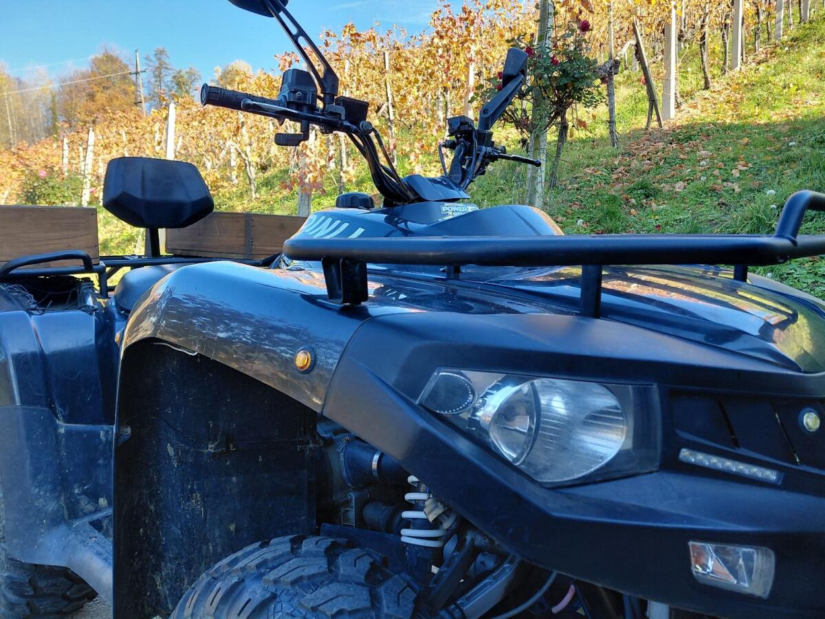 Dinli 600er Centor 4x4 Quad 2