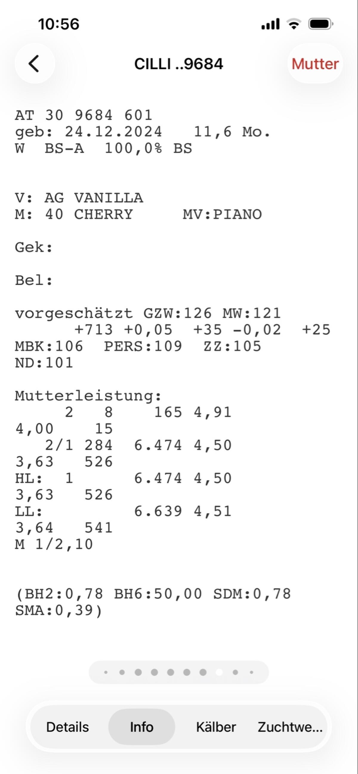 Braunvieh Jungkalbin 2