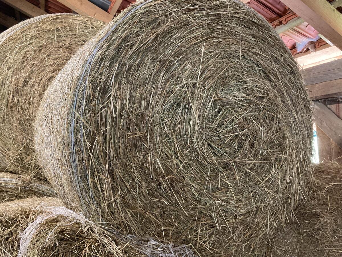 Heu Rundballen erster Schnitt 2025 1