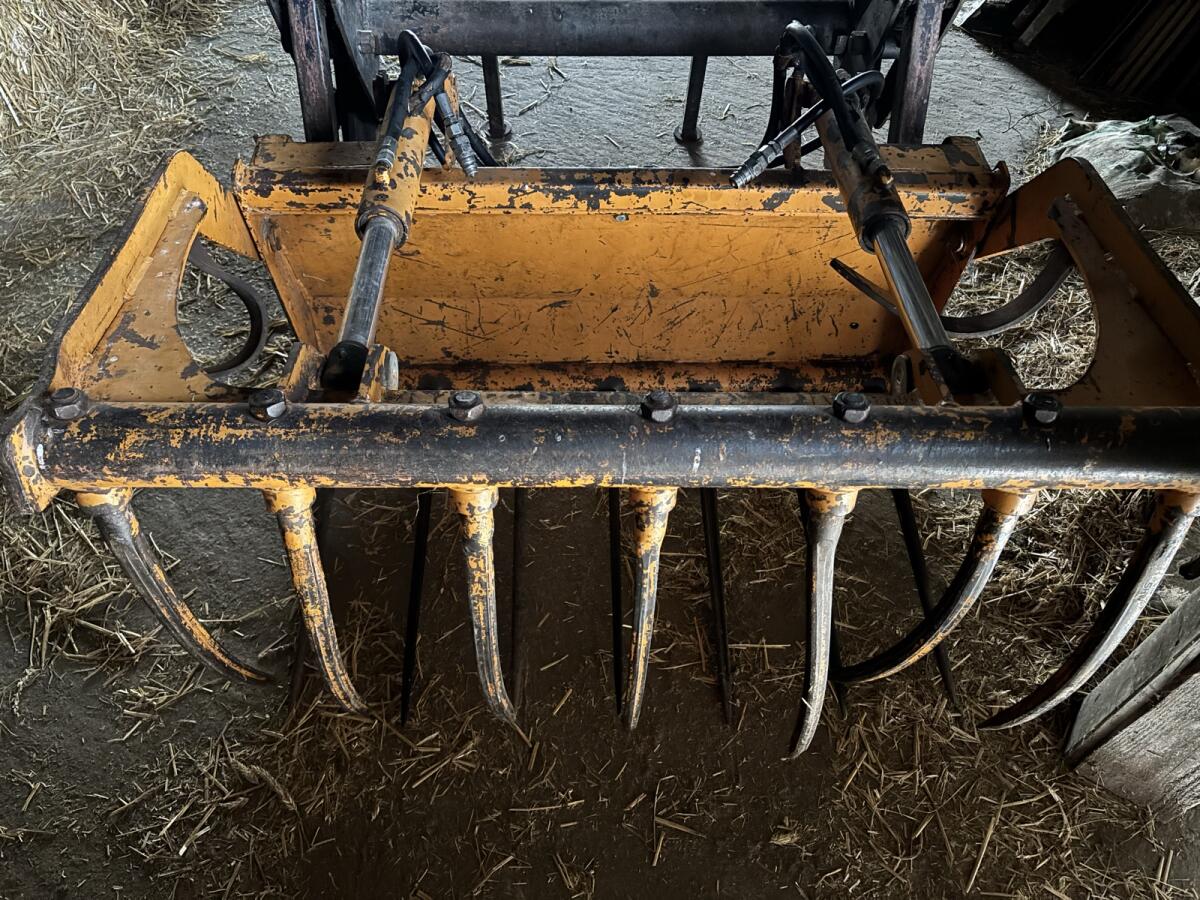 Hauer - Krokozange 3