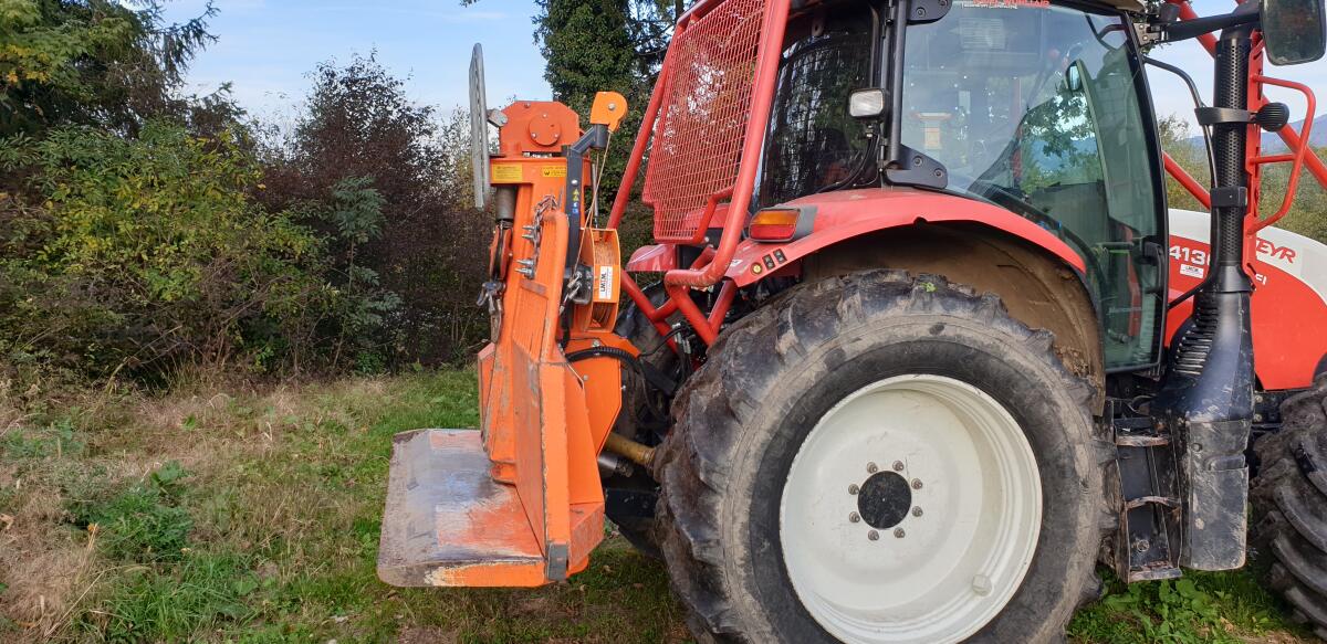 Steyr 4130 Profi CVT Forst 3