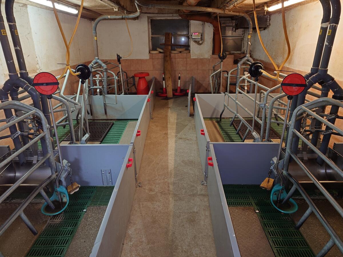 Verkaufe Abferkelbucht 2