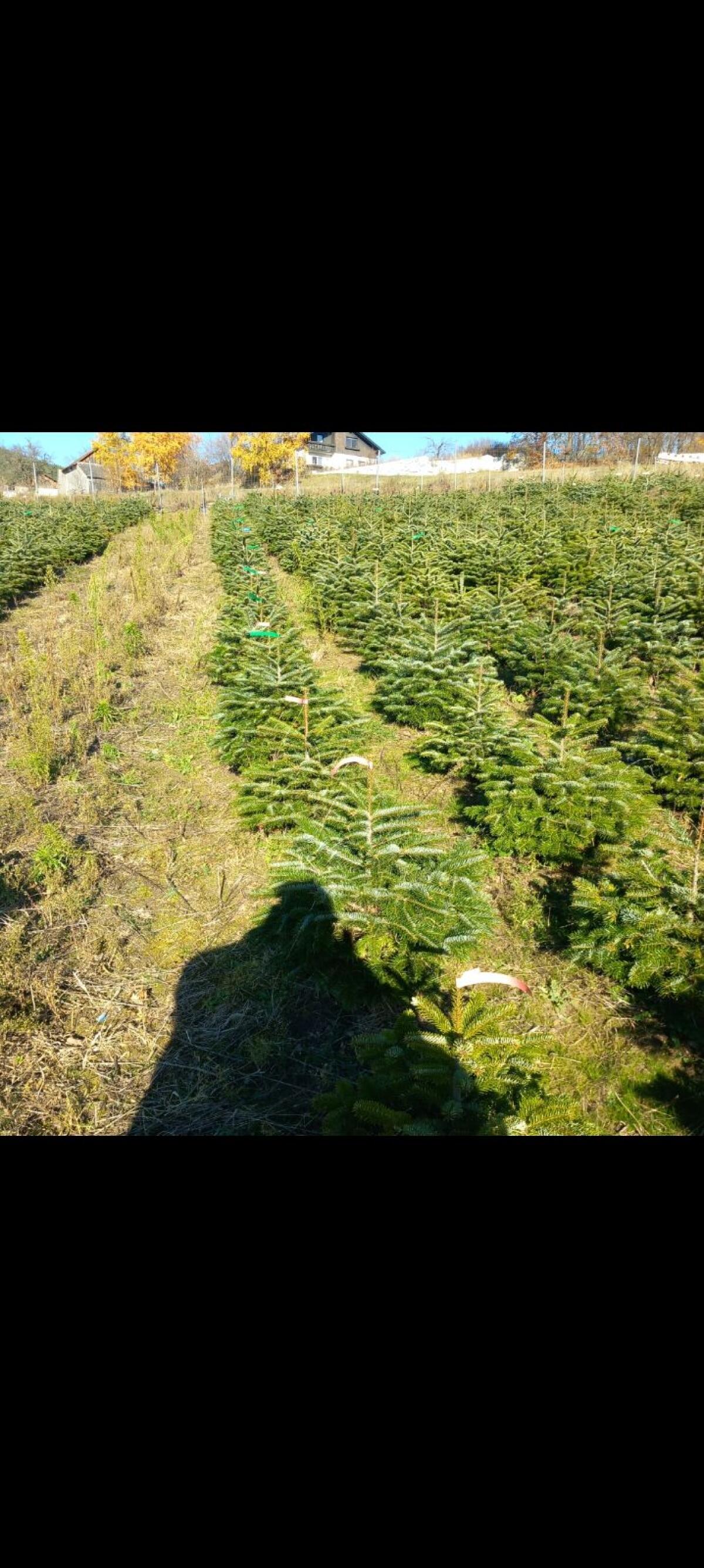 Landw. Flächen gesucht 1