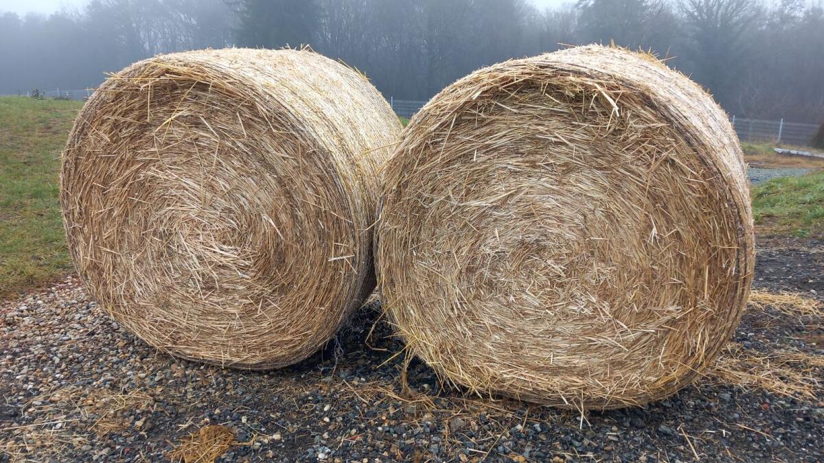 Stroh Rundballen 1,60 m 2