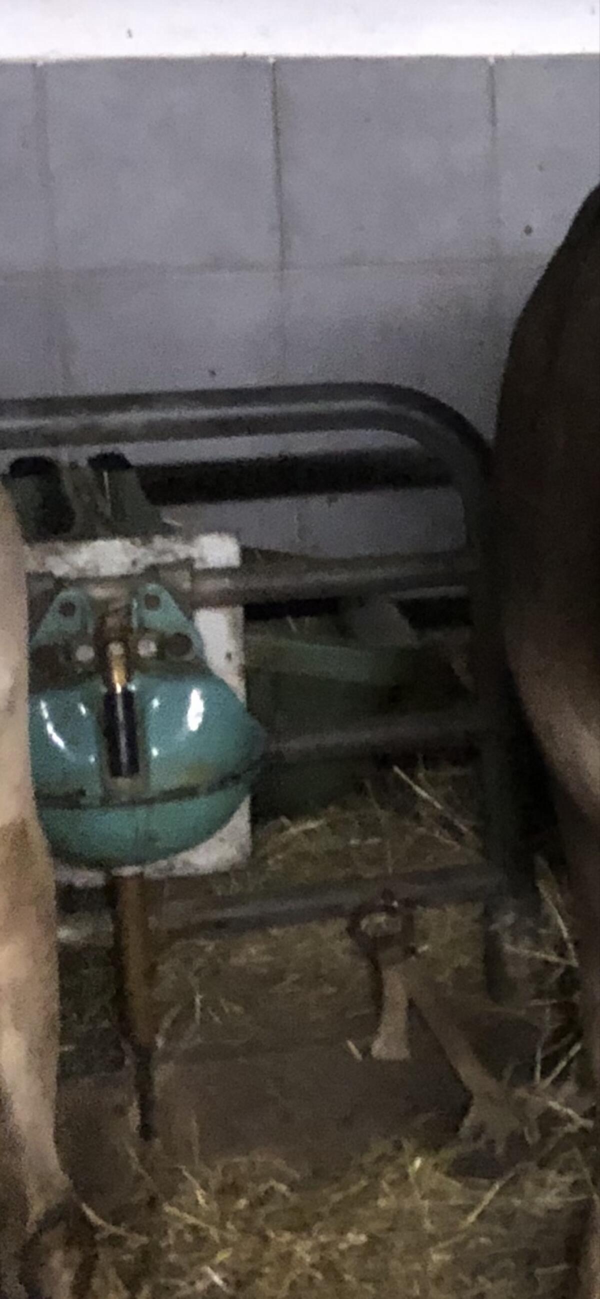 Rahmengitter für Rinder 2