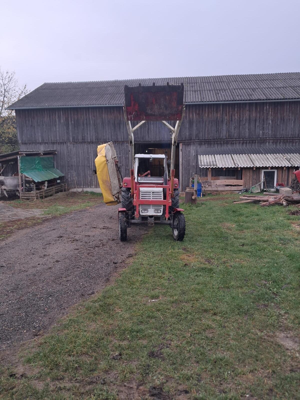 Steyr 650 Plus Serie + Frontlader usw. 2