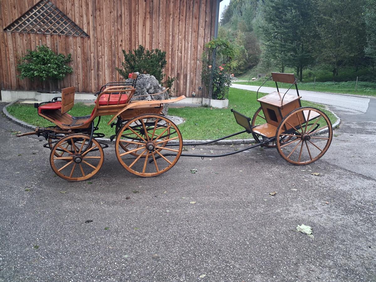 Pferdekutsche 3