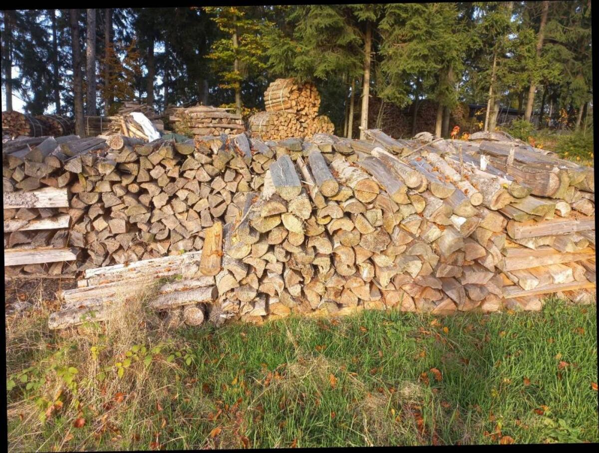 Brennholz 2