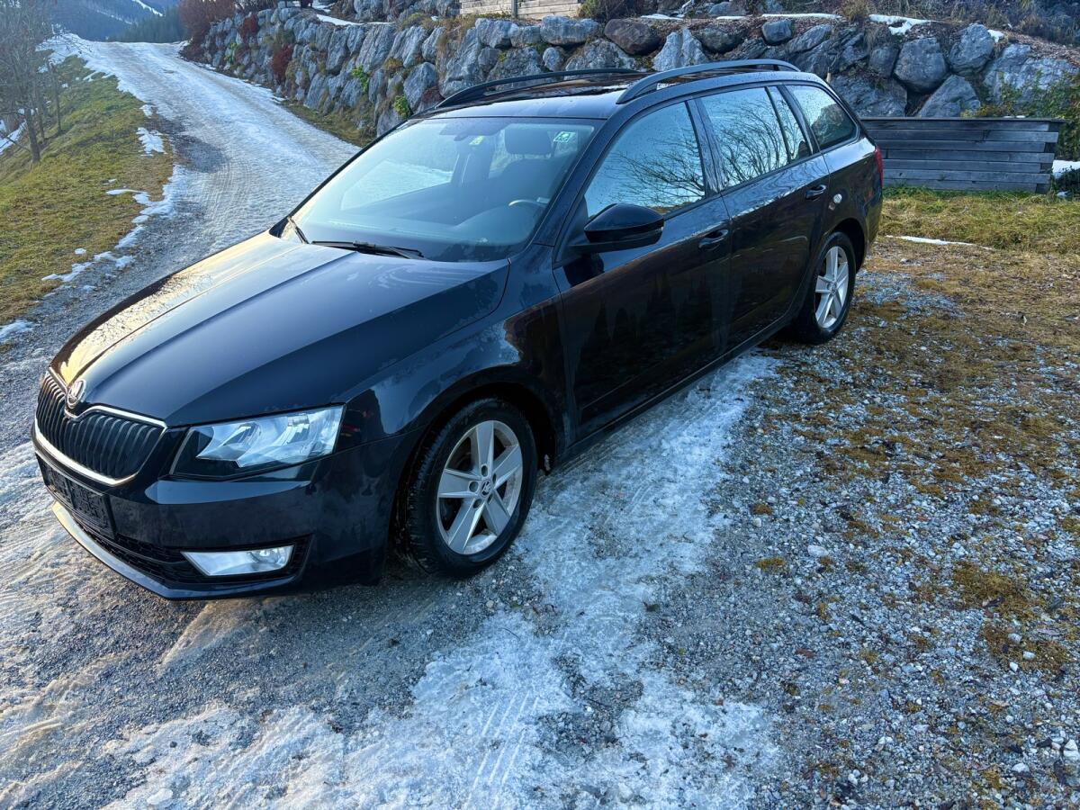 Skoda Octavia Combi 1,6 Ambition TDI 4x4 2