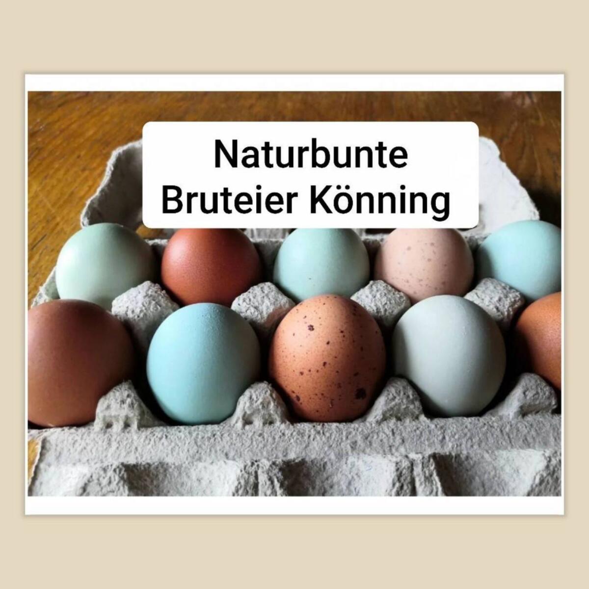 Bunte Bruteier 10 + 2 Gratis € 17,- Easteregger Eier 2