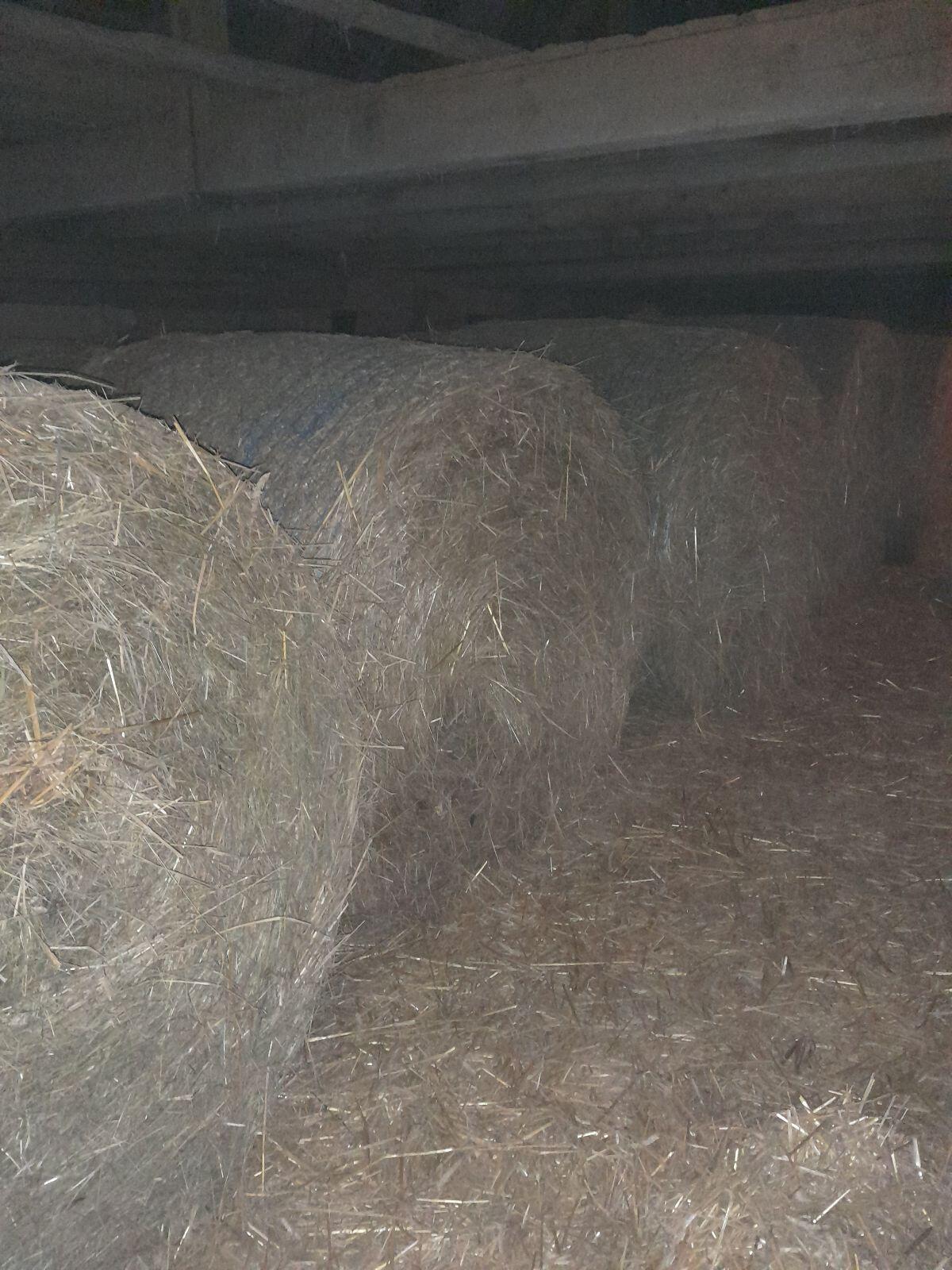 Heu und Strohballen 2