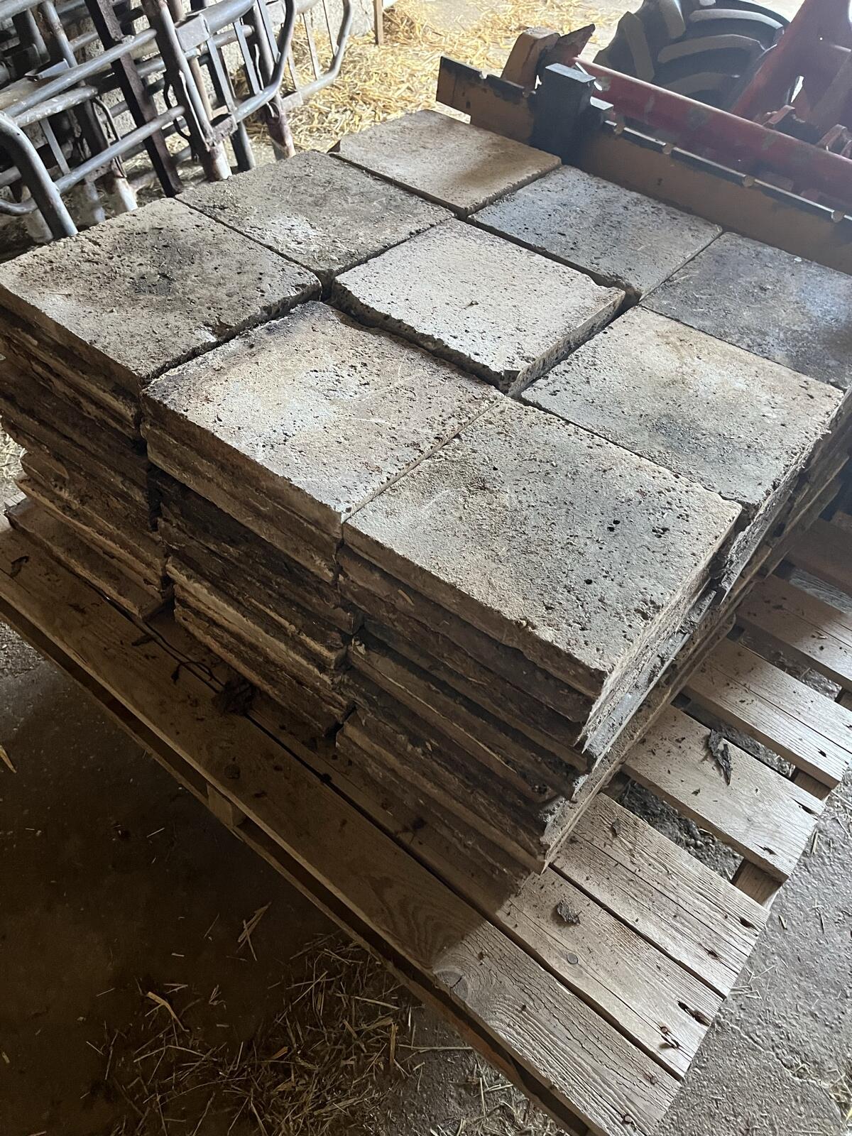 Bodenbelag Platten von Anbindestall 2