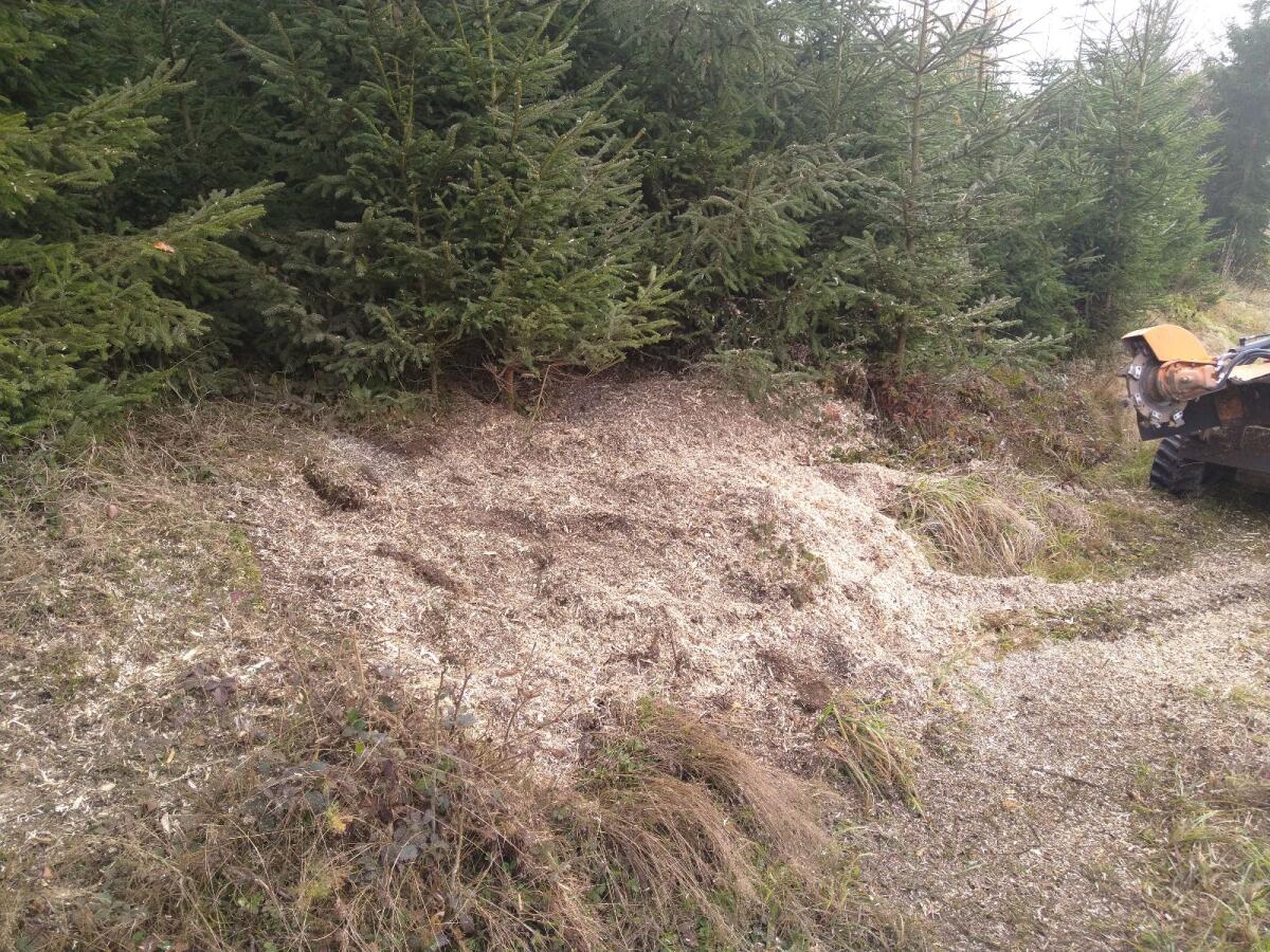 Wurzelstockfräsen/Stubbenfräse 2