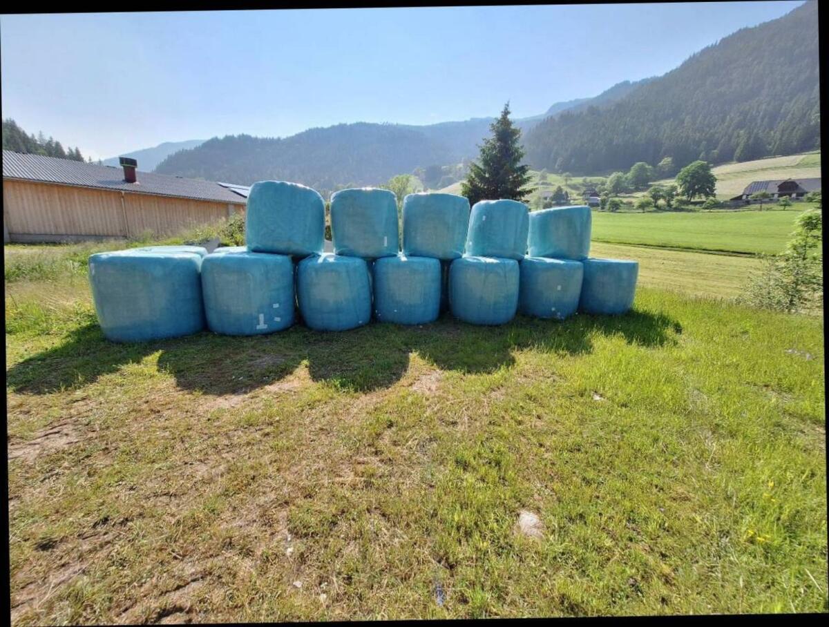 Bio Silage Rundballen 2