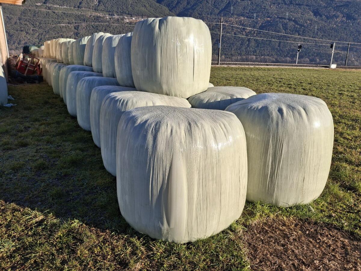 Silageballen 3